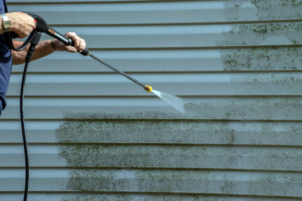 Best Pressure Washing Driveway  in Goodman, MS