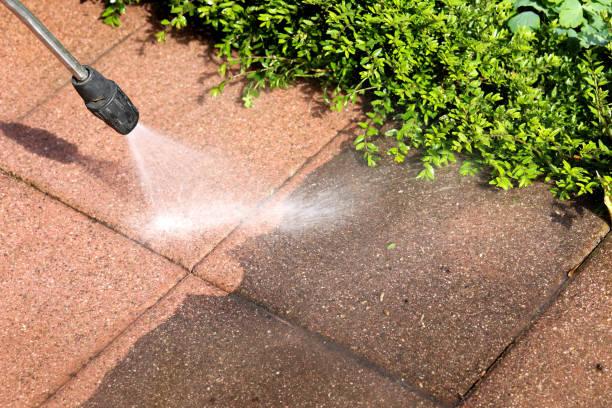 Professional Pressure Washing in Goodman, MS